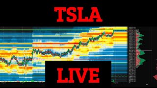 Live Daytrading Tesla TSLA AMD Advanced Micro Devices Bookmap Friday 8.25.2023 VPOC VWAP