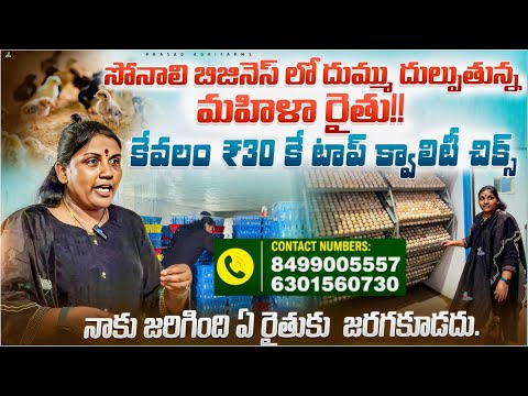 🚨🔥సోనాలి కోళ్ల బిజినెస్‌లో దుమ్ము దులుపుతున్న మహిళా రైతు! ||🐣 Sonali Poultry Farming Telugu