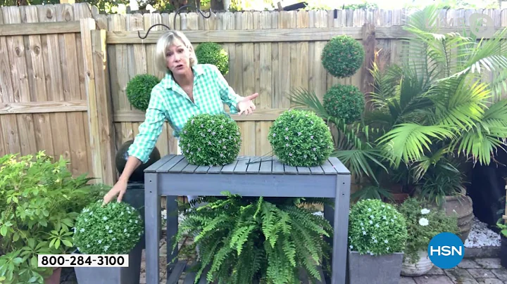 Improvements Set of 2 13" Floral Spheres