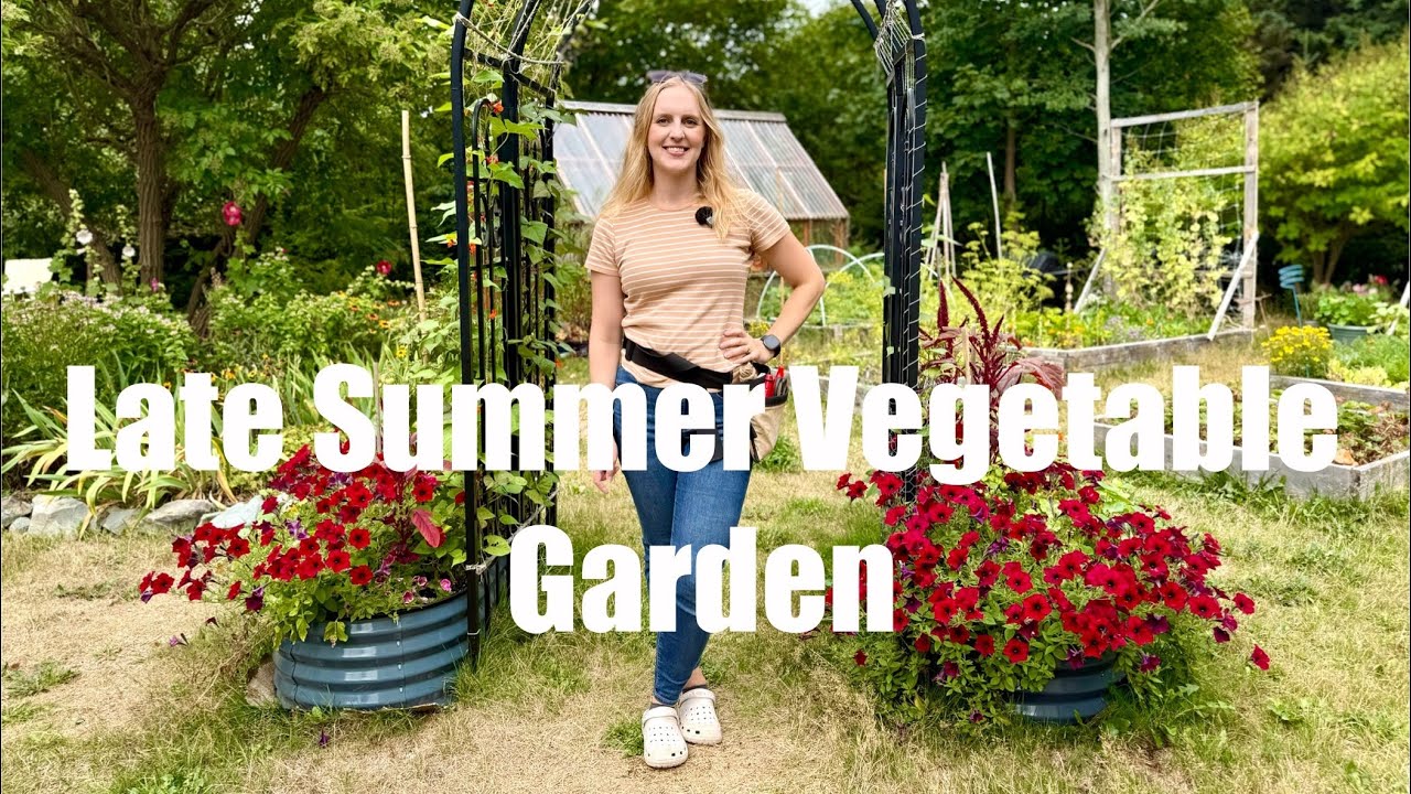 Экскурсия по огородам в конце лета 2025 года. Зона 5b, Ньюфаундленд.