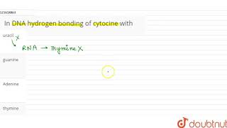 In DNA hydrogen bonding of cytocine with