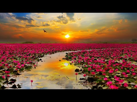     سحر میگفت خالد عارفی   احمد ظاهر