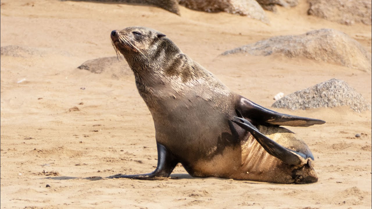 The Hoanib River and Skeleton Coast of Namibia