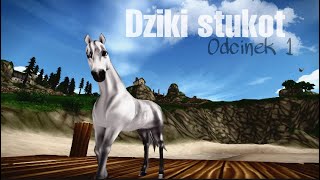 Dziki Stukotserial Ssoodcinek 1Chcę Odejść...