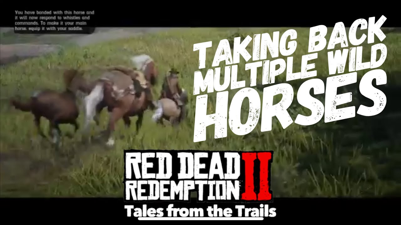 Betsy Trotwood nøgle Uredelighed Red Dead Redemption 2: How to take multiple wild horses back to the stables  at one time - YouTube