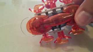 Hexbug Ant Review
