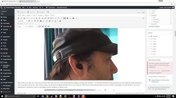 WP Rich Snippet Tutorial How To Do Review Posts in Wordpress