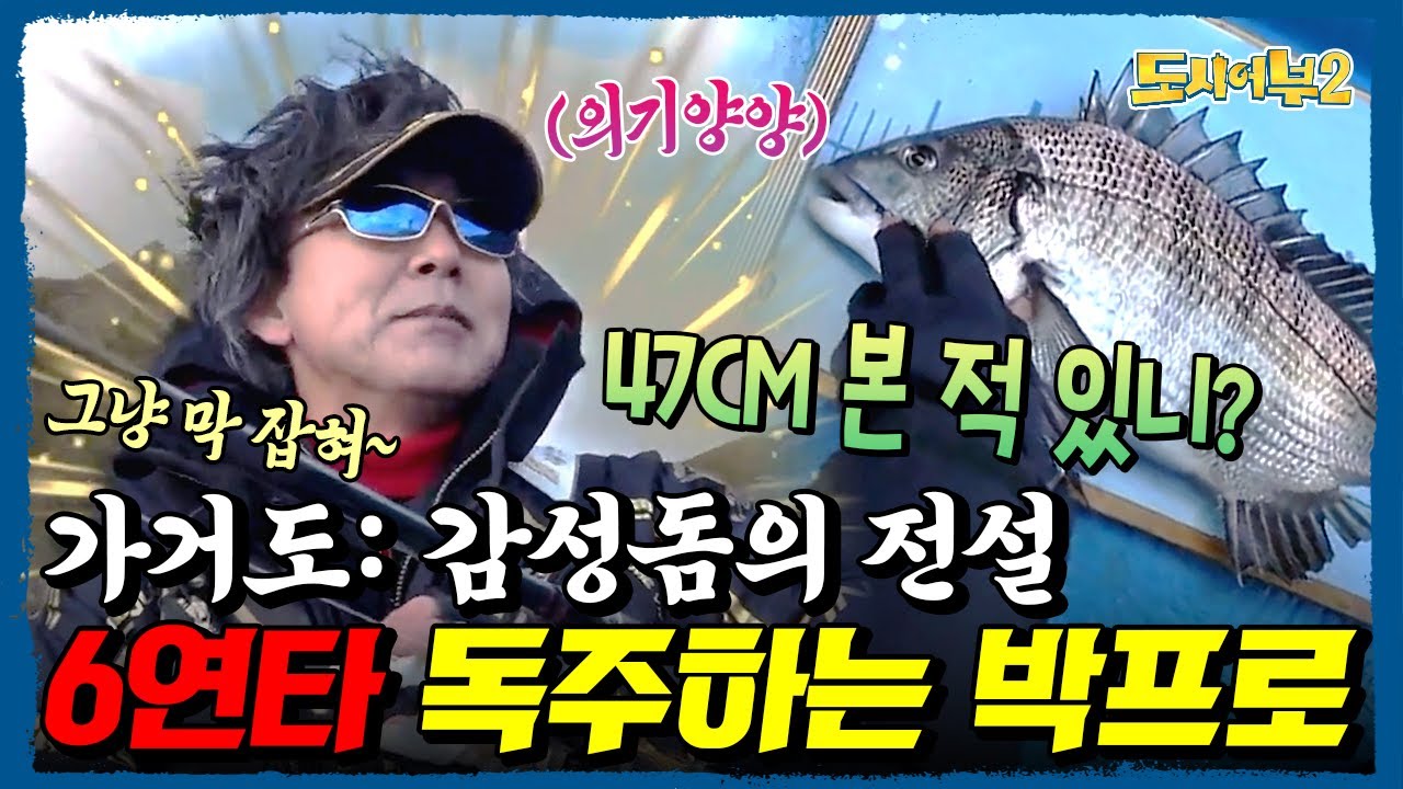 떴다 하면 감성돔 낚아버리는 신↗들↗린 박프로💥🎣 가거도 전설이 되다👑 | 도시어부2 5회