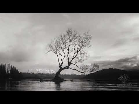 Thumbnail da prática Movimento atento