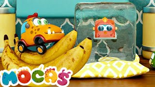MOCAS Arabalar ve Buzdolabı! Çizgi film - Animasyon dizi - Araba videoları by Mutlu Çocuk 2,359 views 3 days ago 4 minutes, 49 seconds