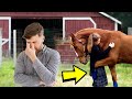 When The Husband Came Back, He Was Shocked When He Caught His Wife With a Horse In Barn Doing This!