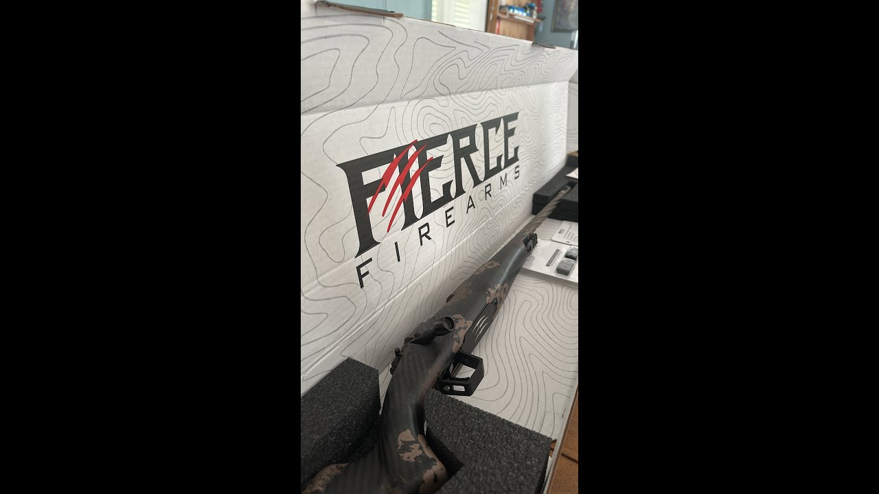 Fierce Twisted Rogue Review