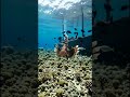 Camera Mounted on a Fish see 😳 What happened