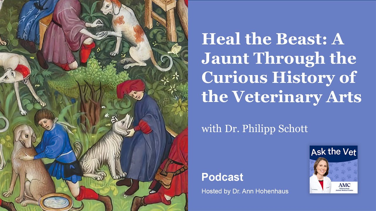 Heal the Beast: A Jaunt Through the Curious History of the