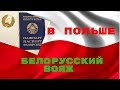 Путешествуем по Польше. Польские дороги, заправки и пригород Варшавы