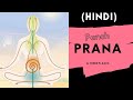 The Five Pranas that fuels functional systems of body and There places (Hindi) 2021