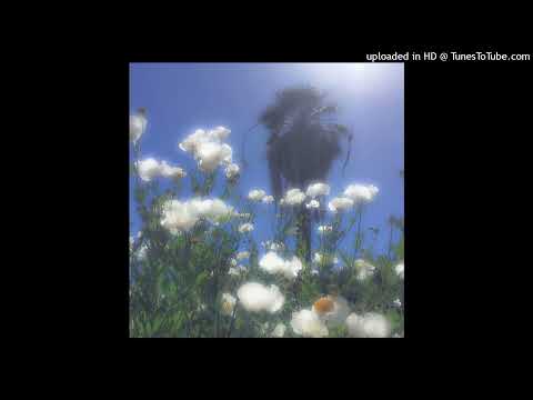 [FREE] Iayze x