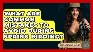 What Are Common Mistakes To Avoid During Spring Birding? - Bird Watching Diaries