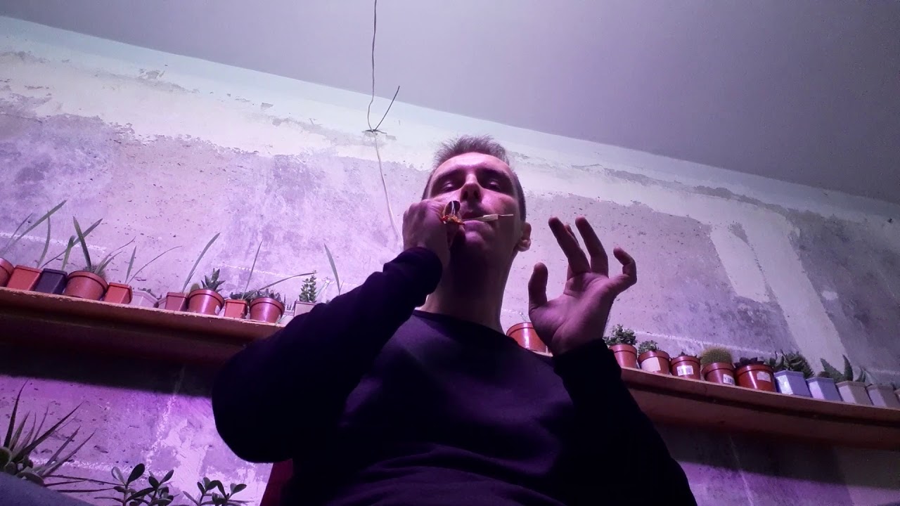 Варган дан-мои стандартный, звучание после хорошей "раскачки"