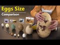 Egg Size Comparison: Godzilla & More 🥚