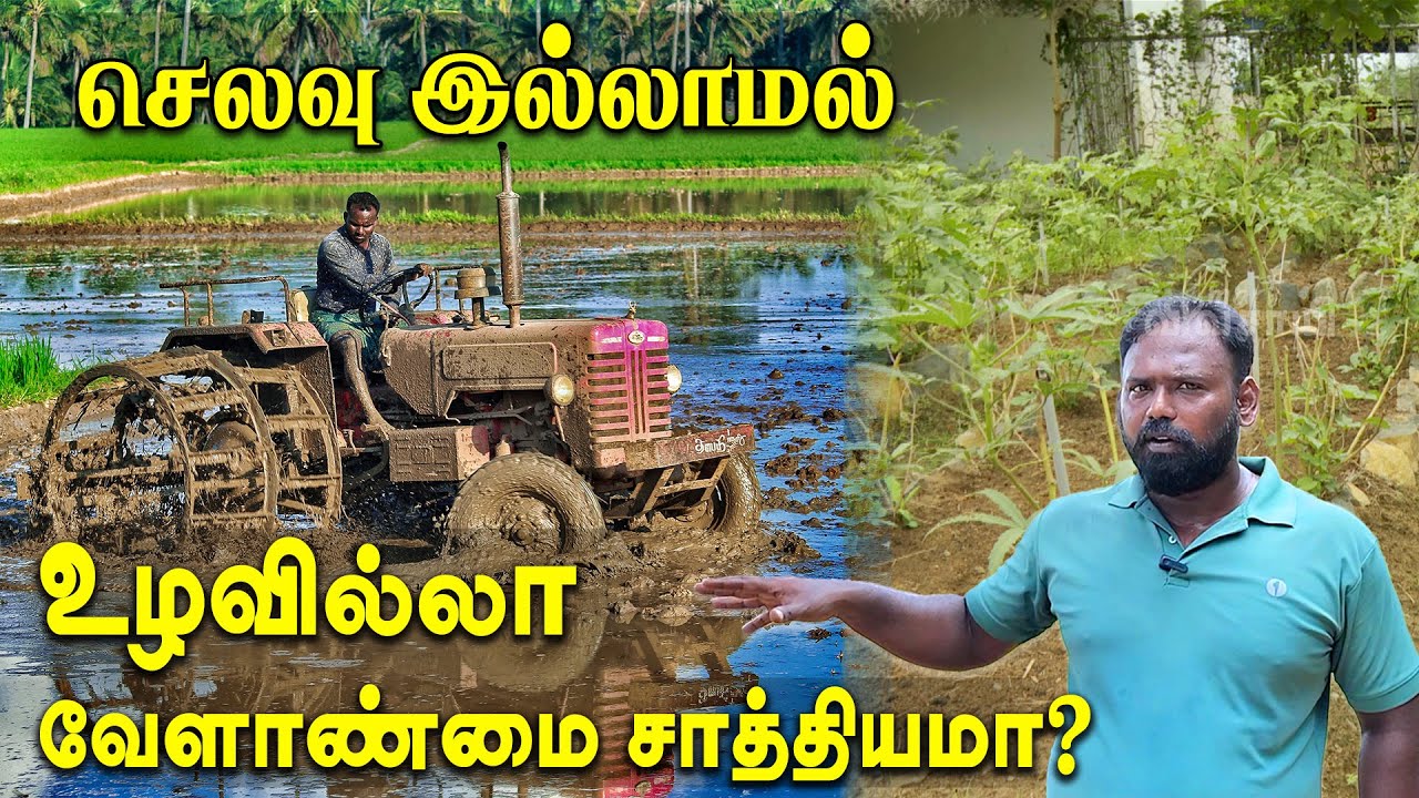 🌿ஜப்பானிய விவசாய முறையில் காய்கறி விளைச்சல்🪴 | Smart Vivasayi