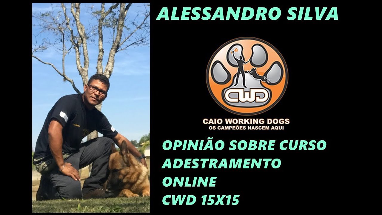 DEPOIMENTO ALESSANDRO SILVA CURSO ADESTRAMENTO ONLINE CWD 15x15 pastor belga