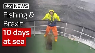 Spending 10 days at sea to learn about fishing and Brexit screenshot 1