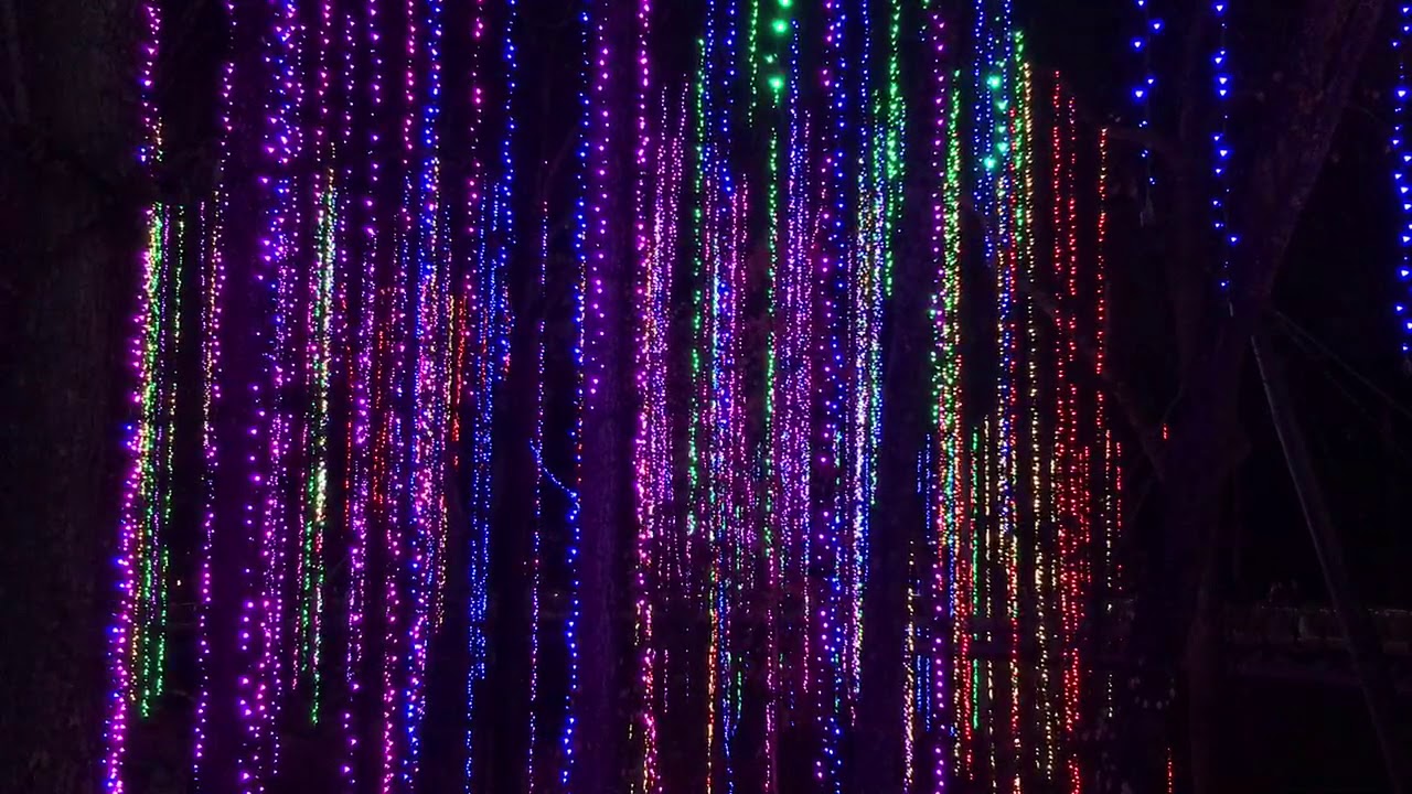Garden Lights Holiday Nights YouTube