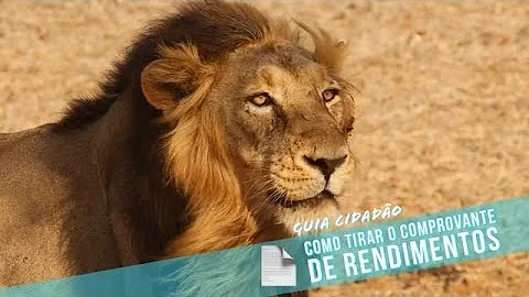 Como tirar informe de rendimentos da Prefeitura de SP?