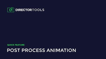 Director Tools Features: Post Process Animation