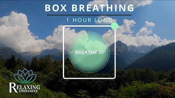Box Breathing (4 Seconds) | 1 Hour Long | Square Breathing Meditation Technique