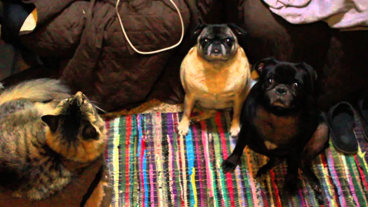 First time boondocking - RV Living