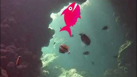 AVS Video Editor Sample Project Render Pack Round 1 Luig Group