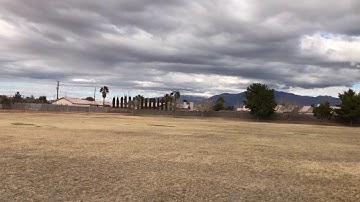 Ben Storick Align T-Rex 550X Test Flight
