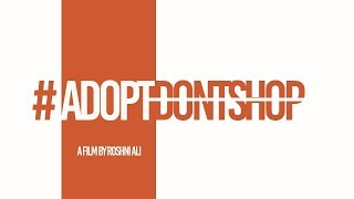 Adopt Dont Shop - Mini Docu