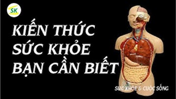 Toàn Bộ KIẾN THỨC Về Sức Khỏe Bạn Phải Biết