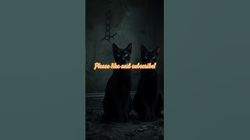 The Black Cat by Edgar Allan Poe – Chilling Audiobook #Halloween #spookystories #justice #spooky