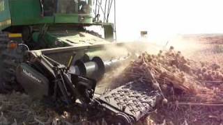 MacDon Pickup header in Onion Seed