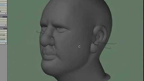 LightWave Endomorphs