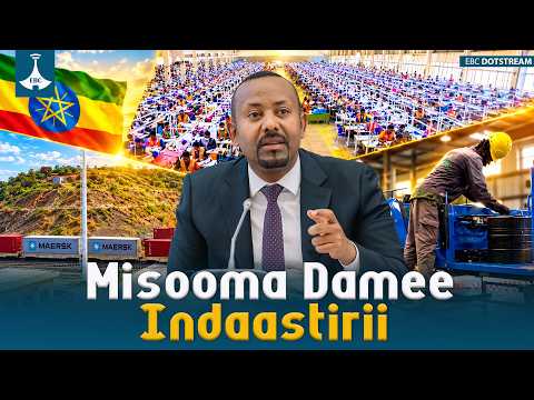 Misooma Damee Indaastirii etv |Ebc |Etv Afaan Oromoo|