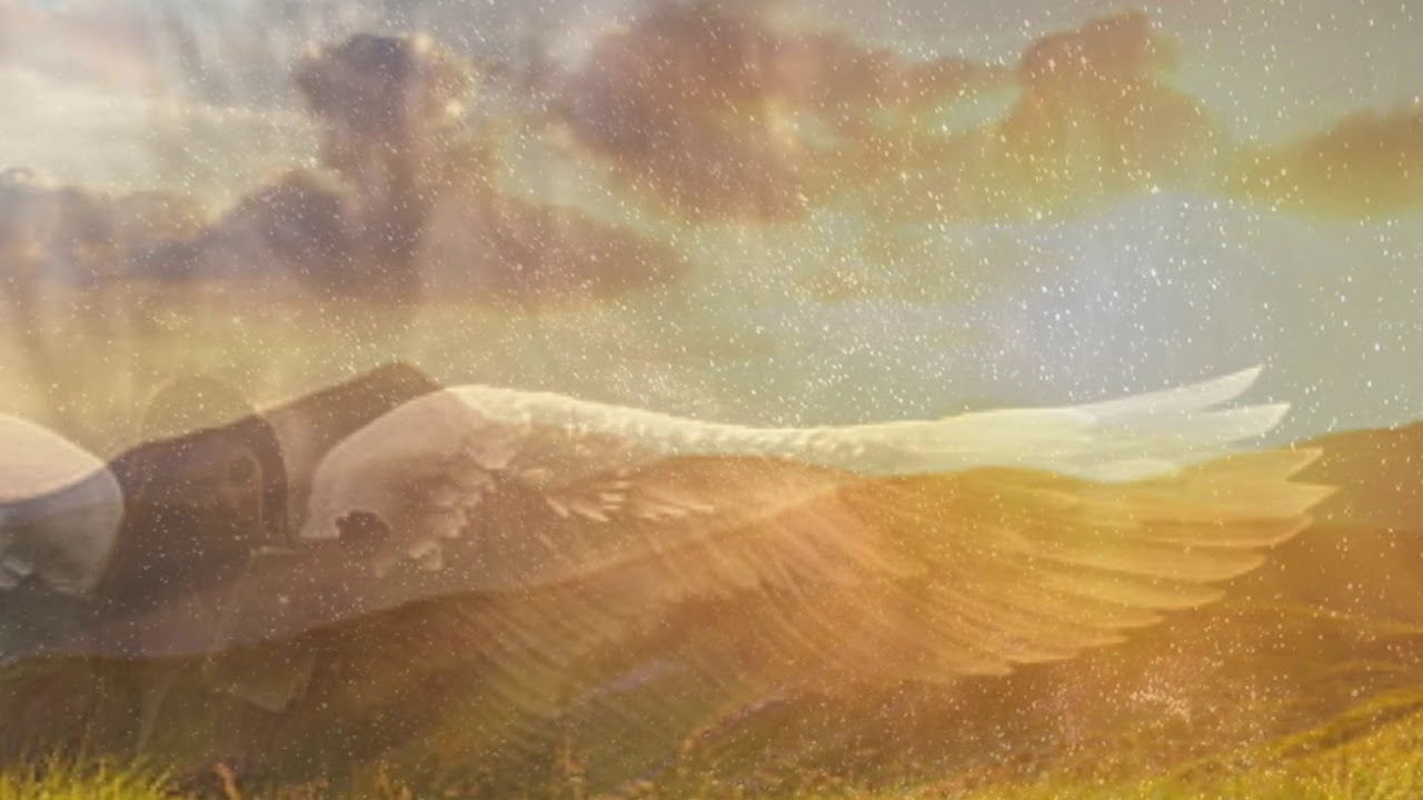 Anna B May. If I Had Wings