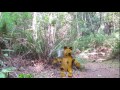 Middle of video