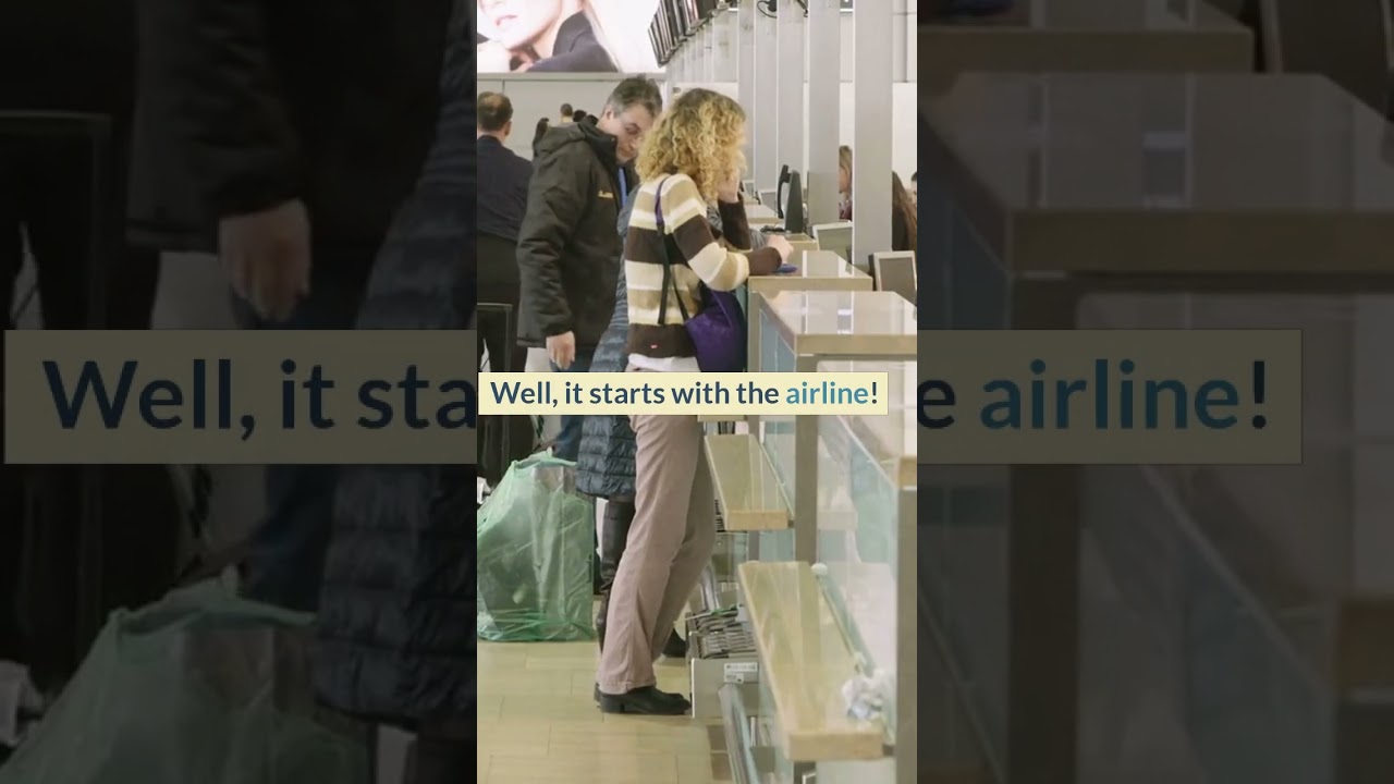 Have you ever wondered how pets travel on airplanes?