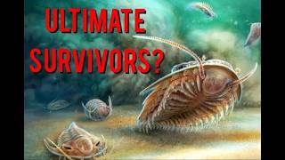 Trilobites: the ultimate survivors?