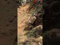 No Frills Buggy Hill Climb 2 One And Done Battle At Beach #hillclimbracing #offroad #buggy #mudding