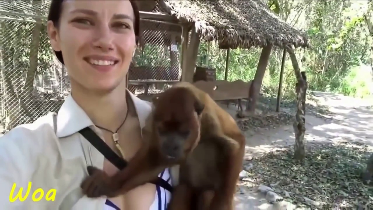 myrtle beach safari girl kissing monkeys