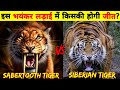 Saber tooth Tiger vs Siberian Tiger | इस भयंकर लड़ाई में किसकी होगी जीत