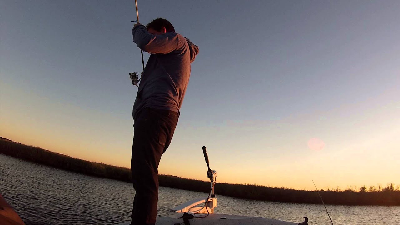 Redfish Tomoka River