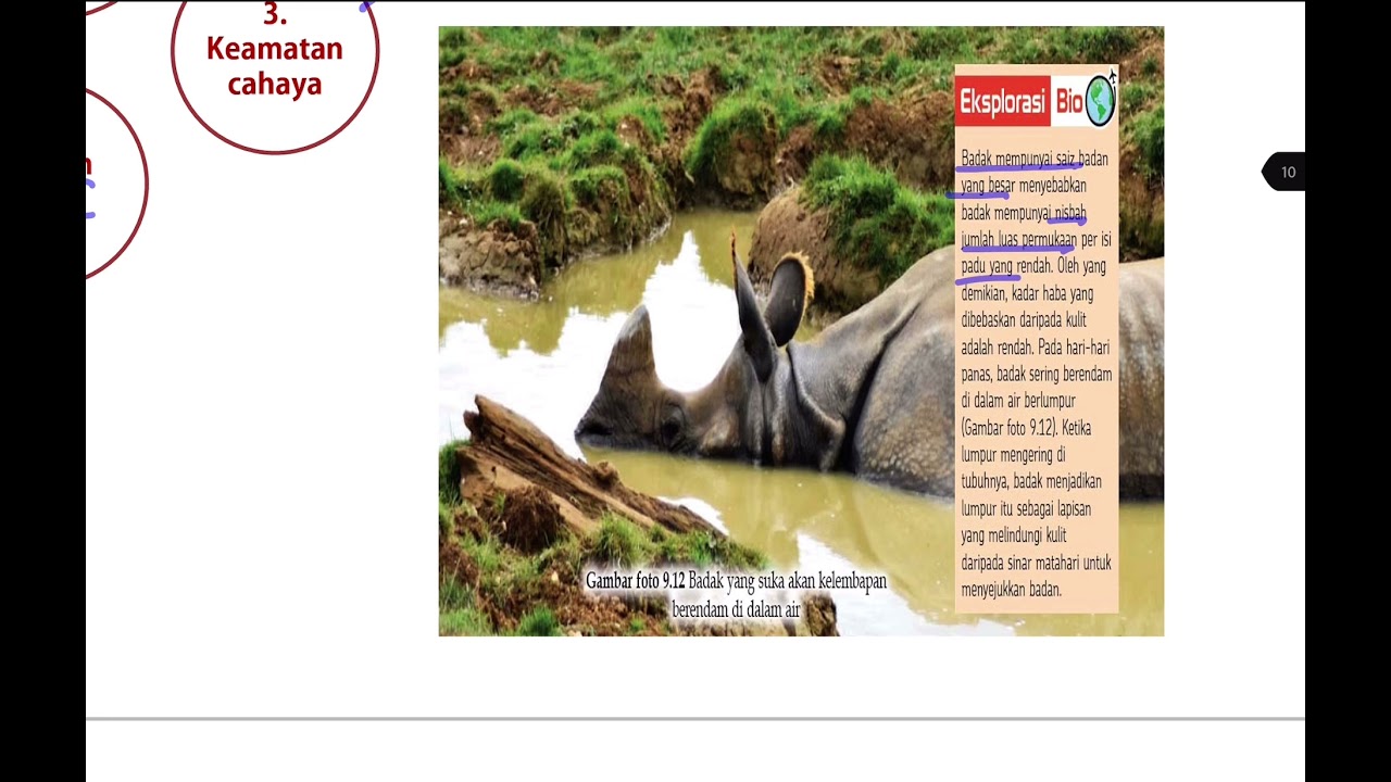 BIO TING 5 BAB 9: 9.1