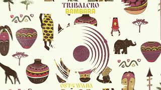Download Lagu Tribalero - Bambara (Original Mix) I Ostowana MP3